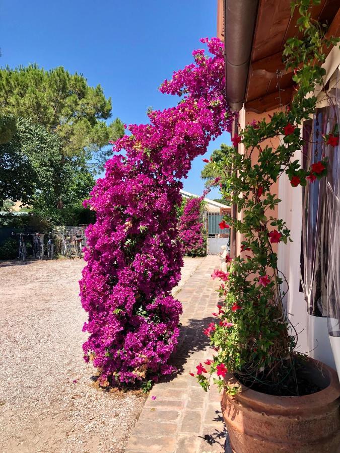 Bed and Breakfast Fontebella Montemarciano Exterior foto