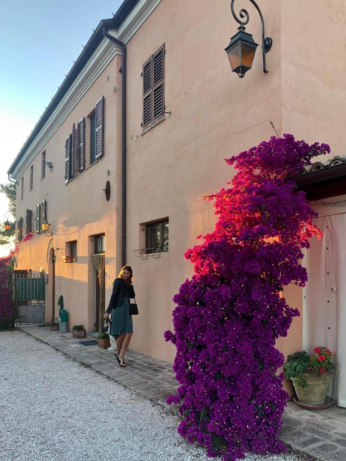 Bed and Breakfast Fontebella Montemarciano Exterior foto